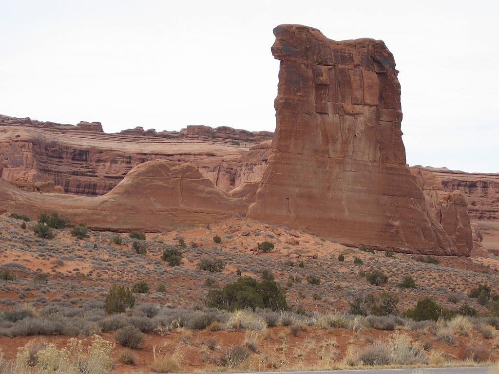 173 Arches - Sheep.jpg